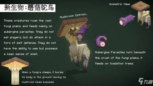 蘑菇爆料最新,揭秘娱乐圈最新热点事件